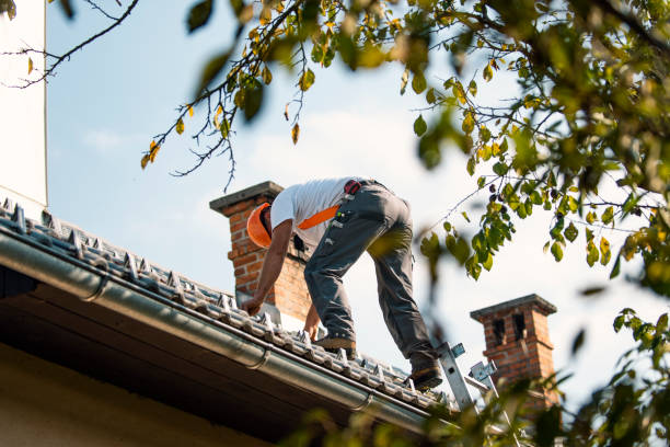 Best Roof Replacement Cost  in Gibraltar, MI