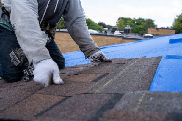 Quick and Trustworthy Emergency Roof Repair Services in Gibraltar, MI