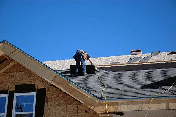 Best Gutter Installation and Roofing  in Gibraltar, MI