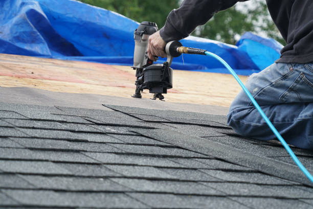 Best Flat Roof Repair Services  in Gibraltar, MI