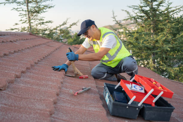 Best Sealant for Roof  in Gibraltar, MI