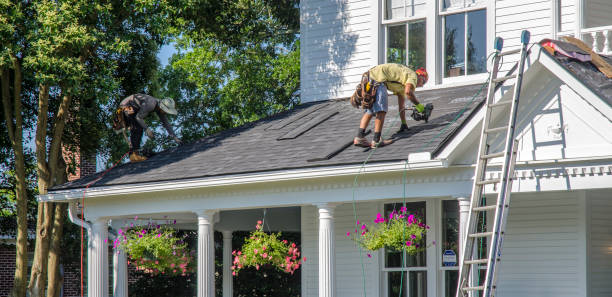 Best Roof Leak Repair  in Gibraltar, MI